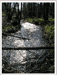 torrente Peschiera