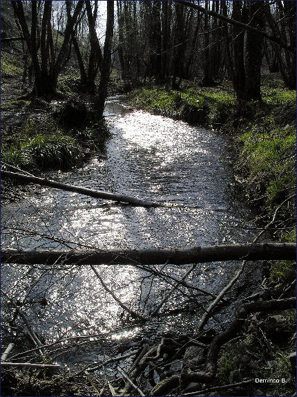 torrente Peschiera