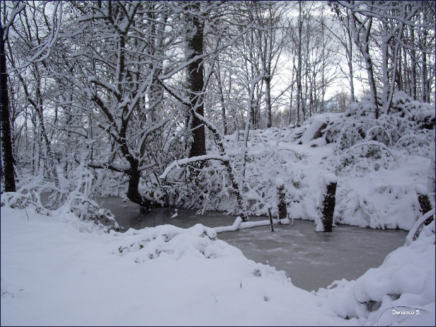 torrente Peschiera in inverno