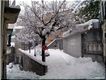 Neve a Castelluccio Superiore